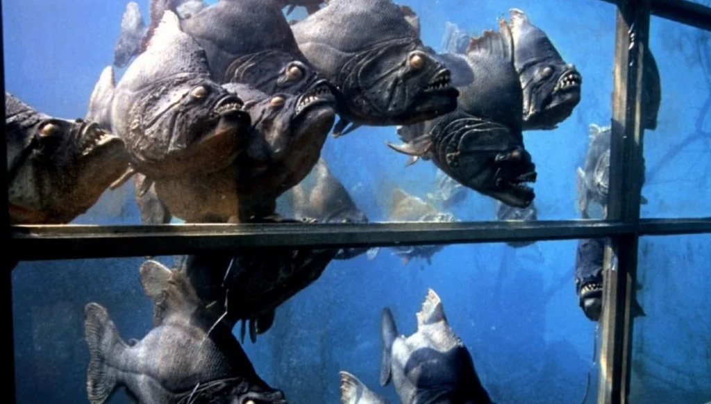 Streaming Roulette roundup movie reviews featuring Piranha 1978 on Pop the Channel