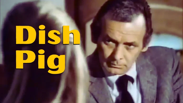 Harry O Pilot Movie Review: "Such Dust as Dreams Are Made On" featuring David Janssen as Harry Orwell on Pop the Channel