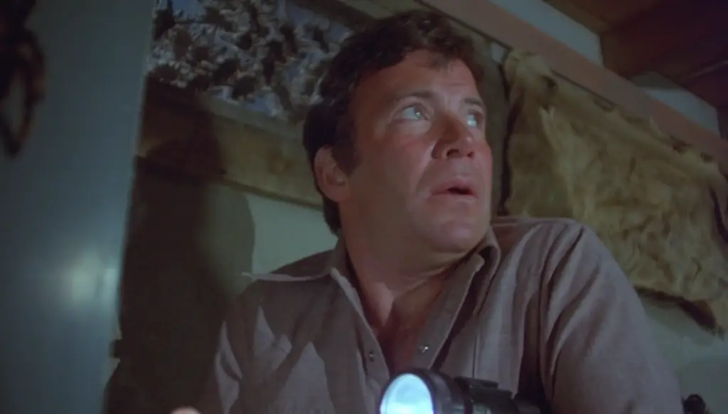 Star Trek Actors in Weird 70s Movies featuring Rack holding a flashlight in the basement surrounded by tarantulas and looking scared in Kingdom of the Spiders 1977 on Pop the Channel