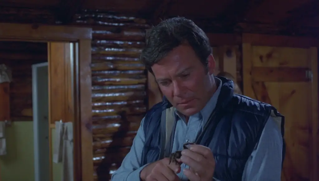 Star Trek Actors in Weird 70s Movies featuring Rack holding a tarantula in Kingdom of the Spiders 1977 on Pop the Channel