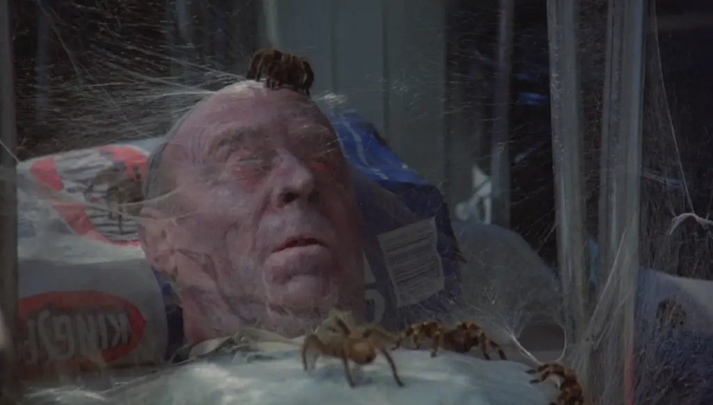 Star Trek Actors in Weird 70s Movies featuring an old man covered in spider webs and tarantulas in Kingdom of the Spiders 1977 on Pop the Channel